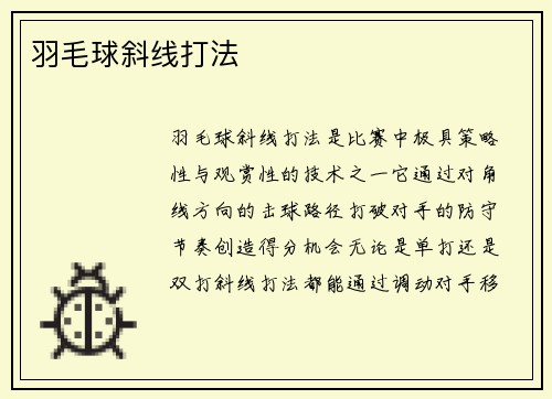 羽毛球斜线打法
