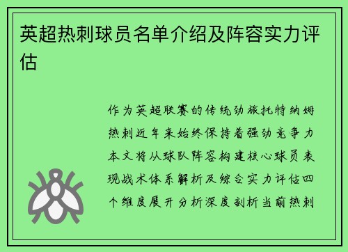 英超热刺球员名单介绍及阵容实力评估