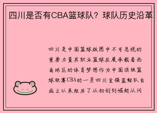 四川是否有CBA篮球队？球队历史沿革